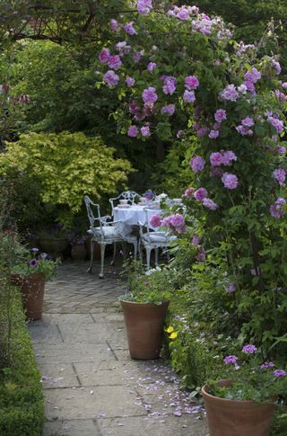 Roses around an arch near a delicate bistro seating area