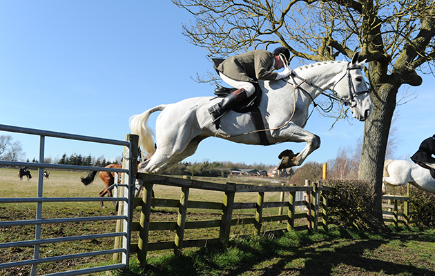 Fernie Hunt on 08 03 2015