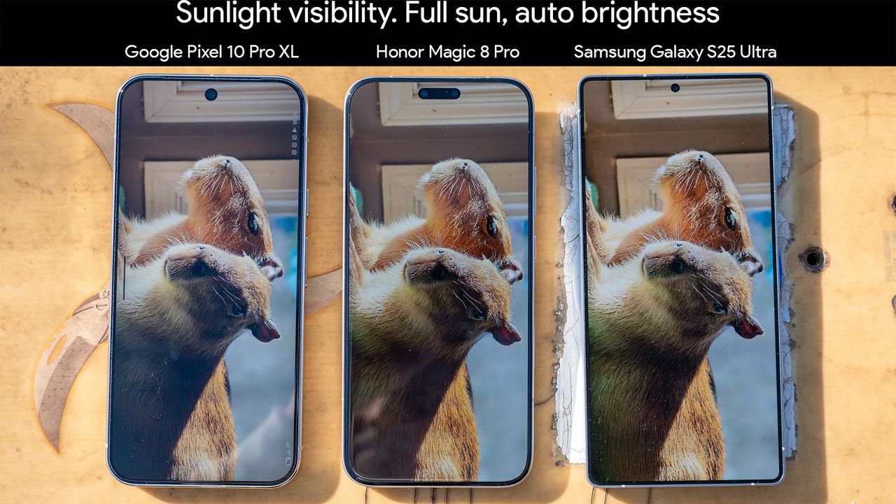 Viewing an HDR picture of capybaras on the Google Photos app in the sunlight on a Google Pixel 10 Pro XL, Honor Magic 8 Pro, and a Samsung Galaxy S25 Ultra