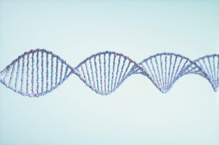 how accurate are DNA tests? An illustration of DNA 