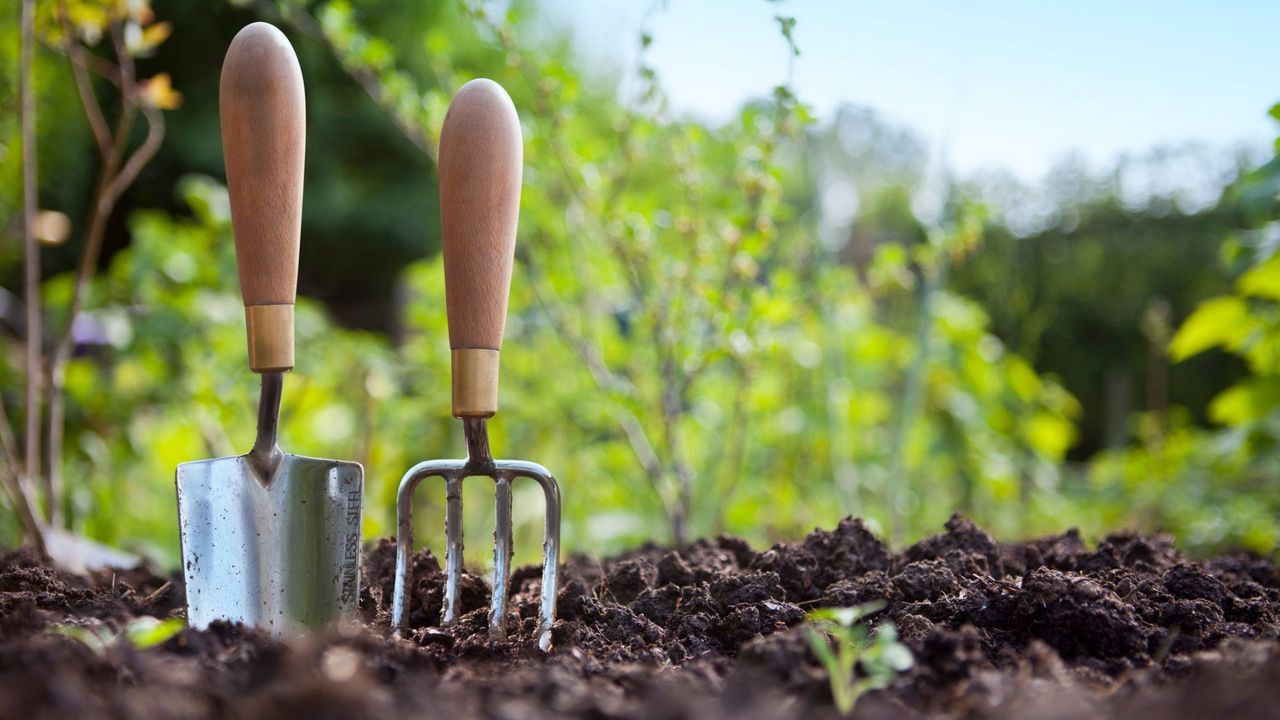 Gardening Tools in Vegetable Garden