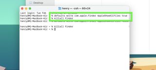 how to show the hidden files in mac - in terminal