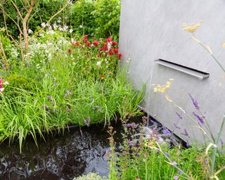 wall water feature with planting by Consilium Hortus