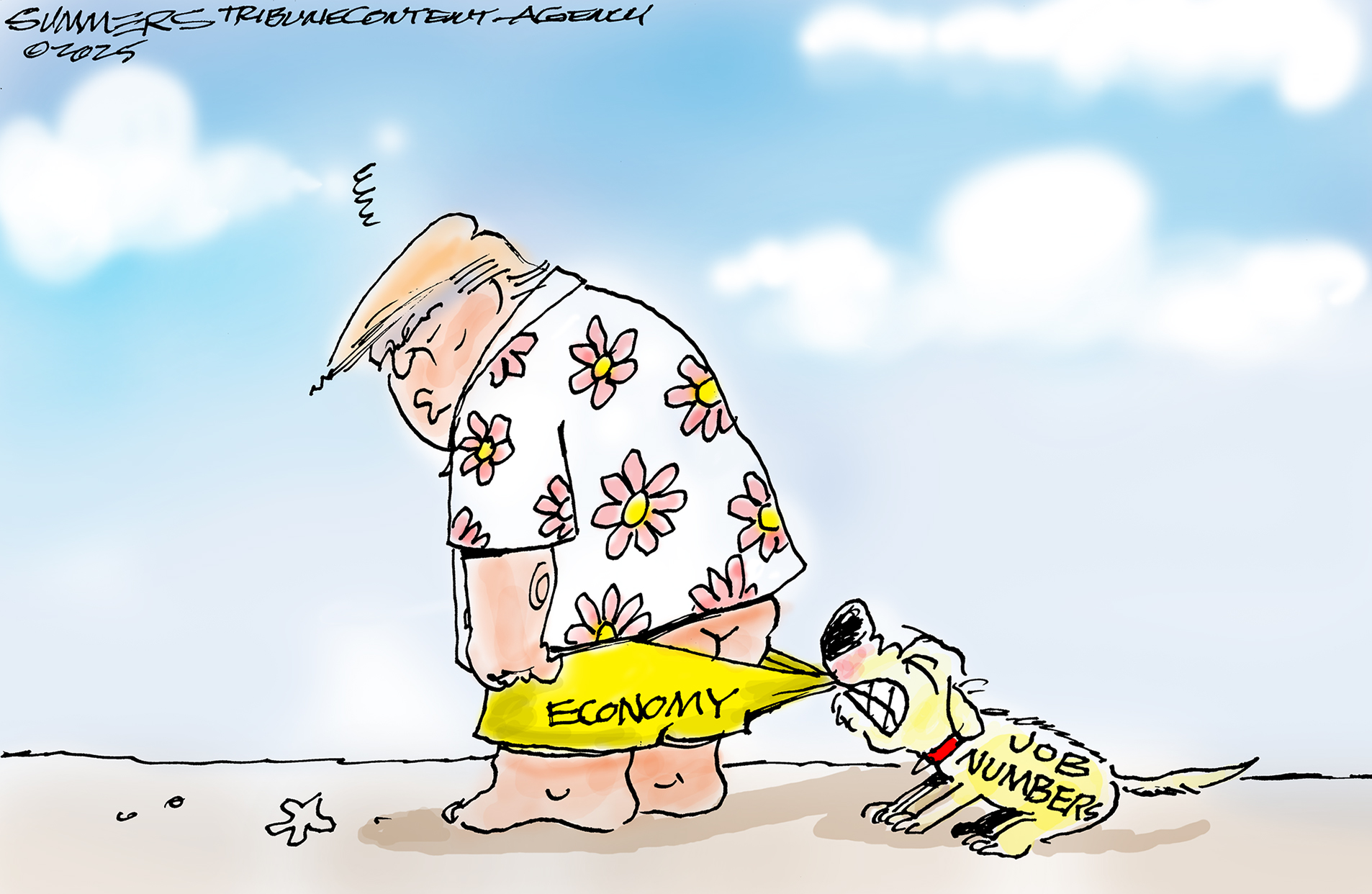 Political Cartoon