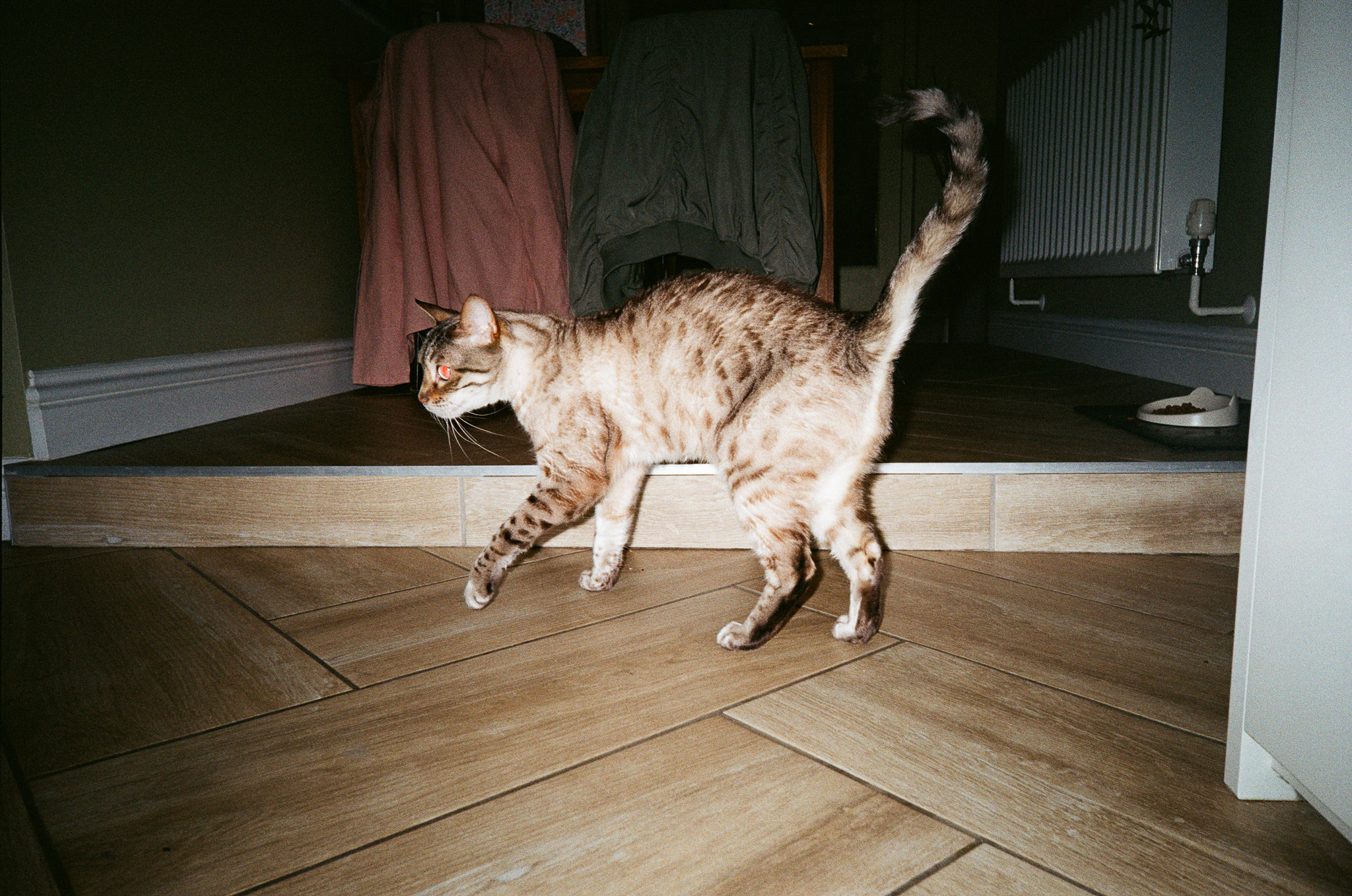 Kodak Snapic A1 sample photo