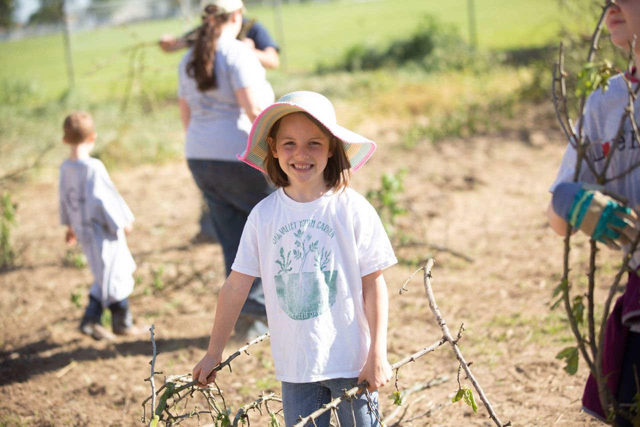 Volunteers clearing the land&nbsp;