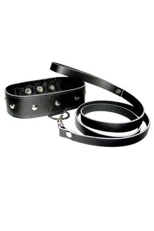 leather collar and leash sex toy