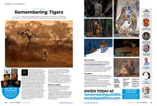 Opening two pages of Remembering Tigers reader competition in Digital Camera magazine March 2024