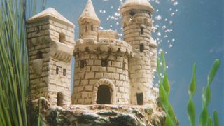 Castle under water