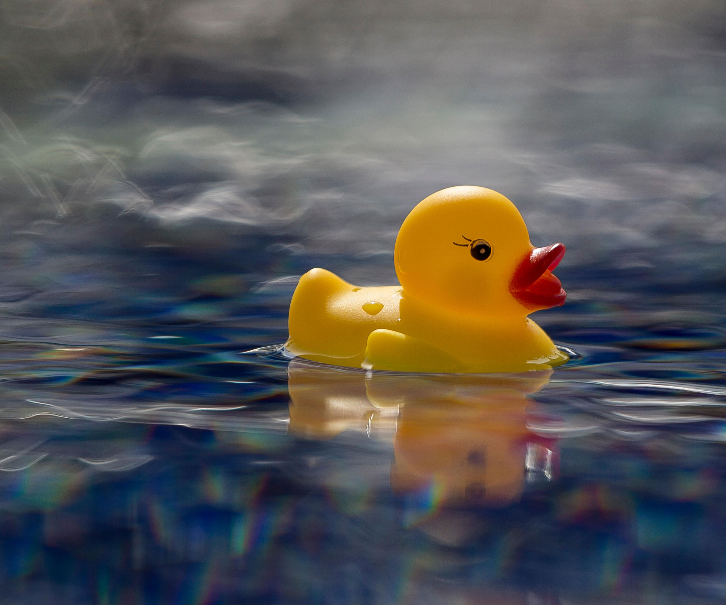 rubber duck floating in water in bird bath