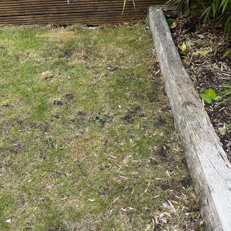 Vonhaus Cordless Lawn Mower 40V - after collecting leaves
