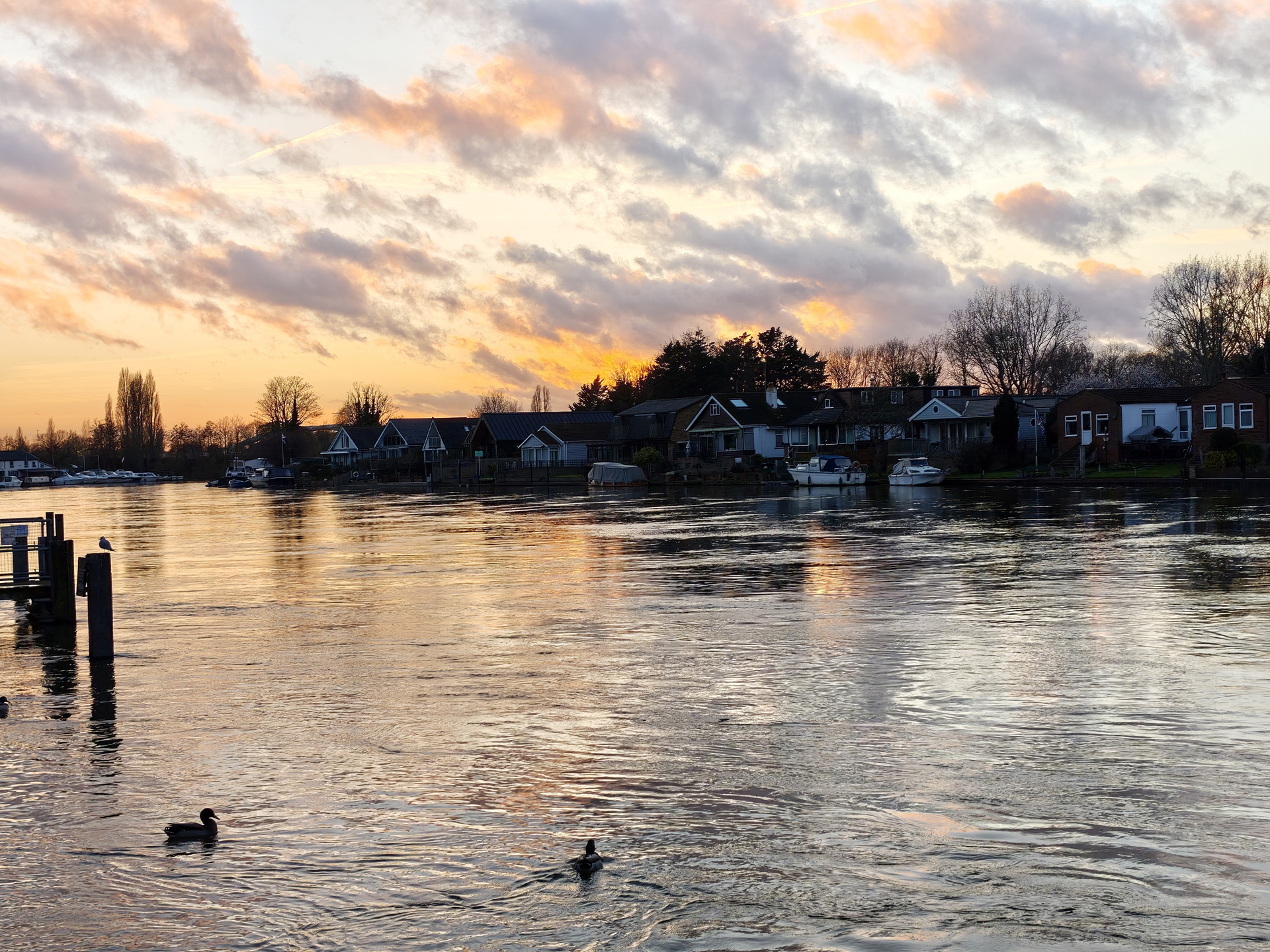 Xiaomi 17 sample photos