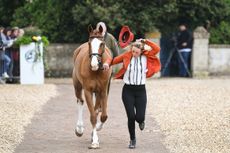 Badminton trot-up fashion