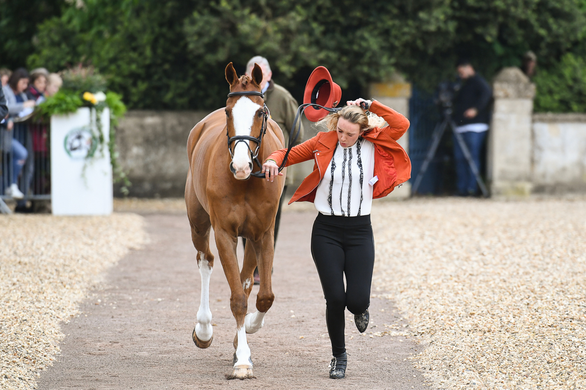 Badminton trot-up fashion