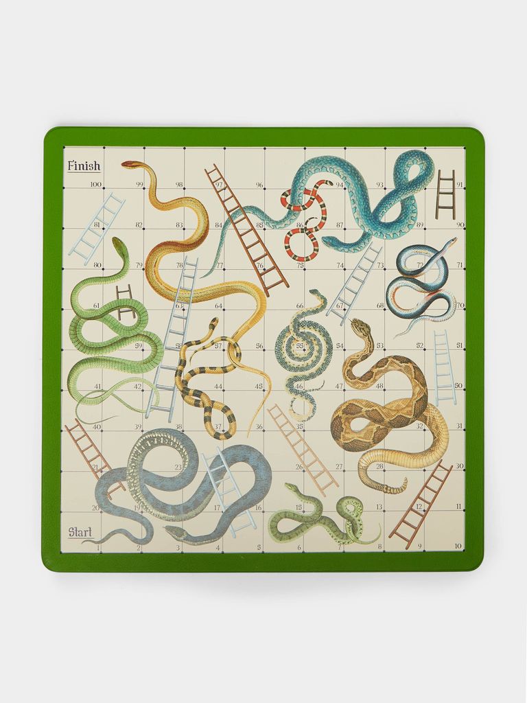 snakes and ladders board