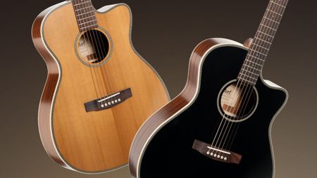 Cort Essence Acoustics