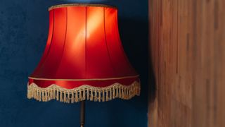 A tasselled lampshade