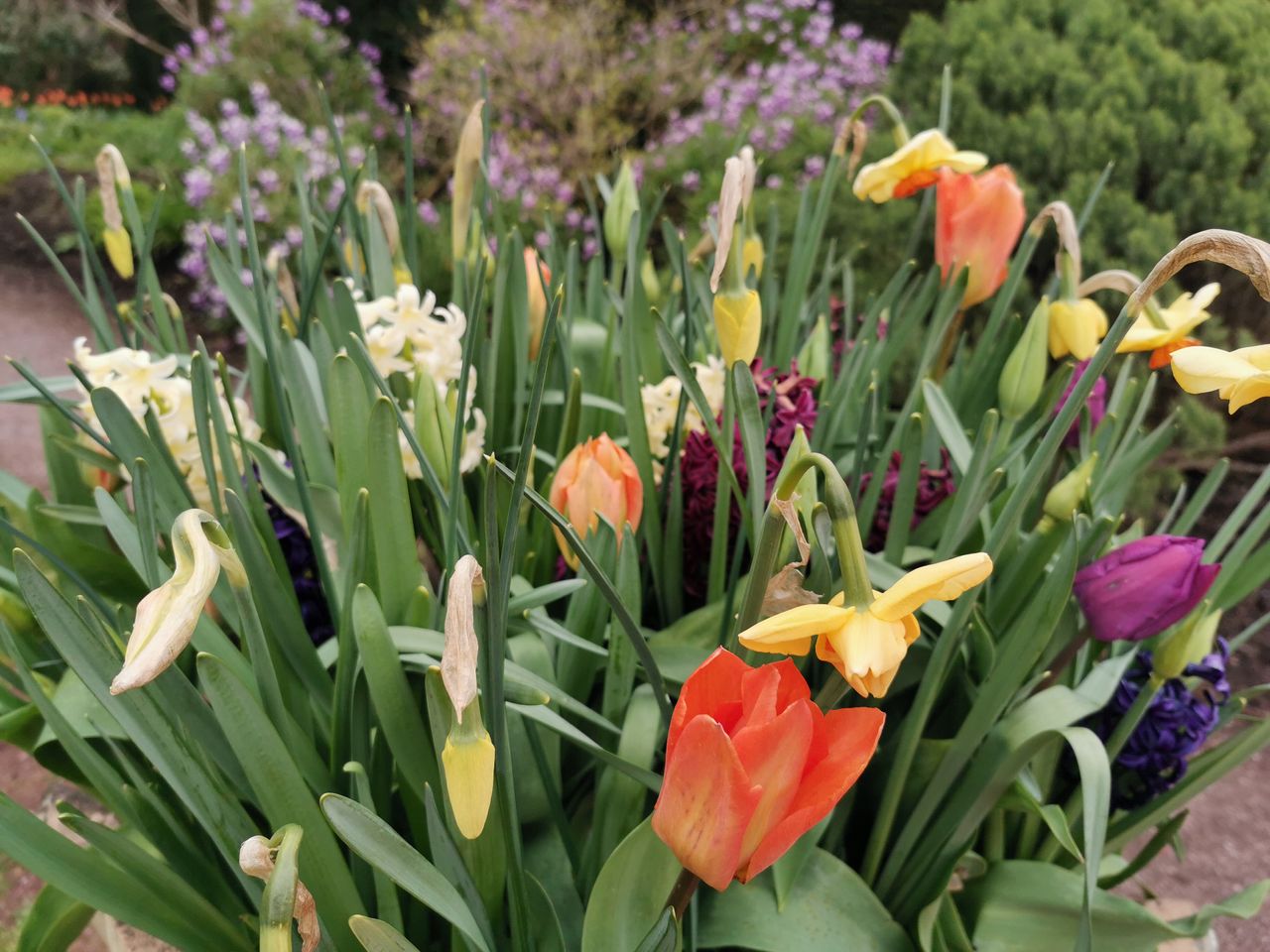 Colour reproduction is a strong aspect of the P30 Pro's camera system.