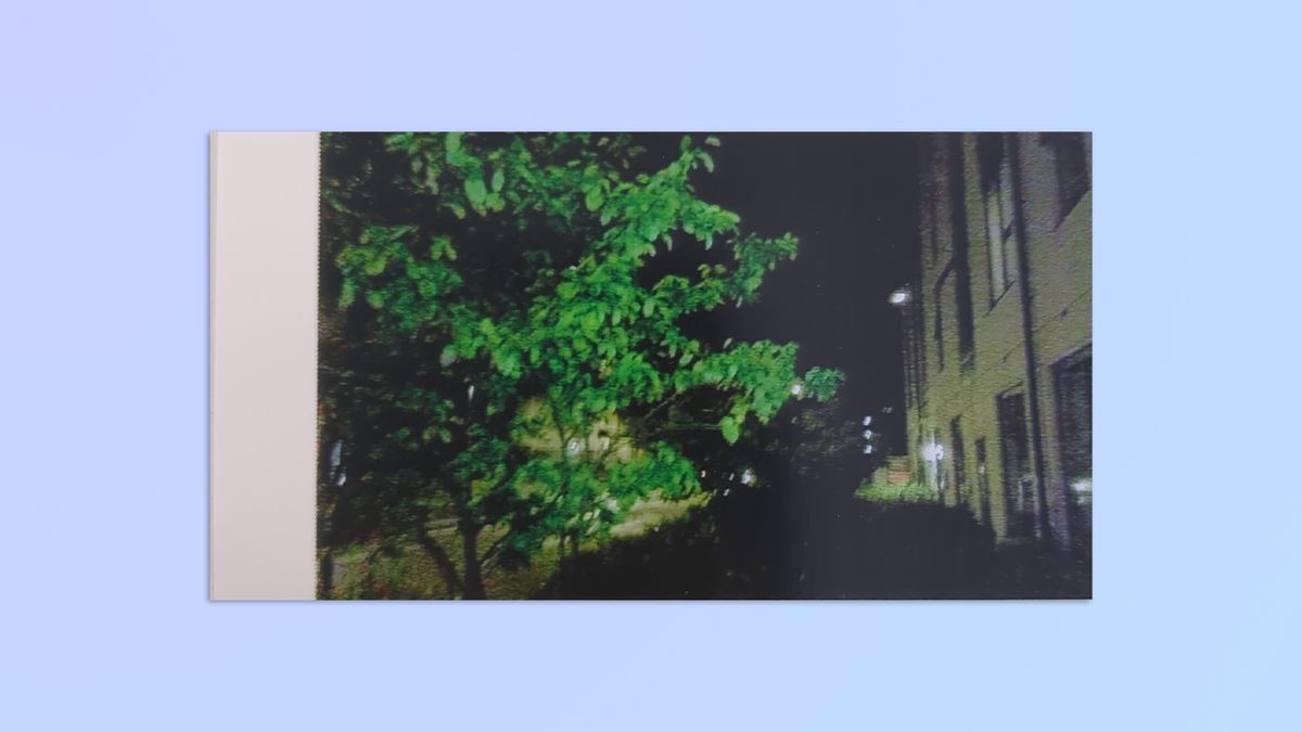 A photo taken on a Kodak Mini Shot 2 Retro hybrid instant camera and printer