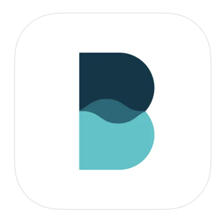 The Balance app logo from the Apple App Store