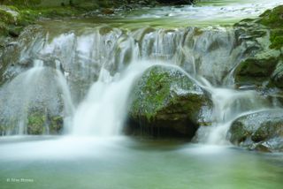 GuruShots - Water