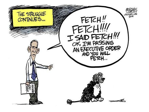 Obama cartoon executive order immigration