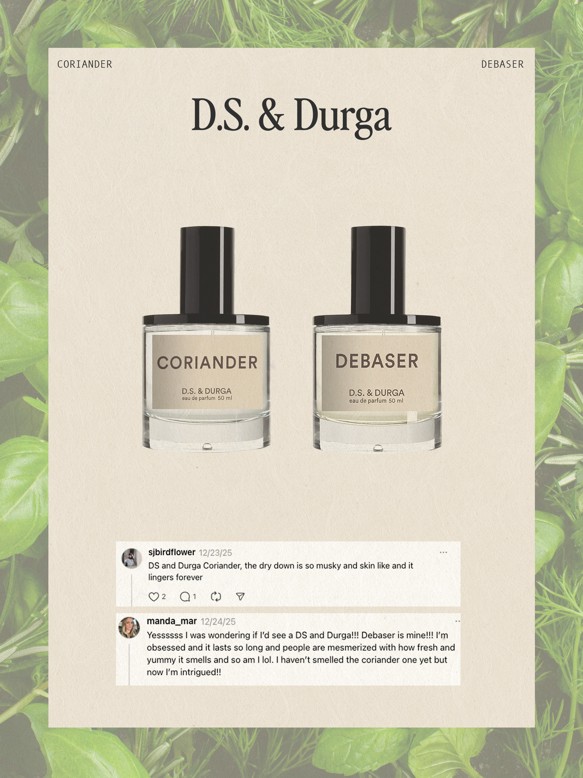 perfume reviews from real customers