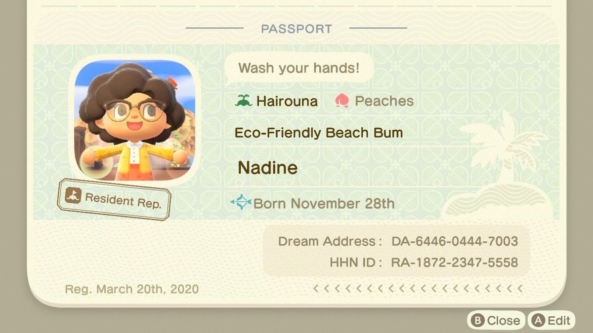 Animal Crossing New Horizons NookLink — What is it and how does it