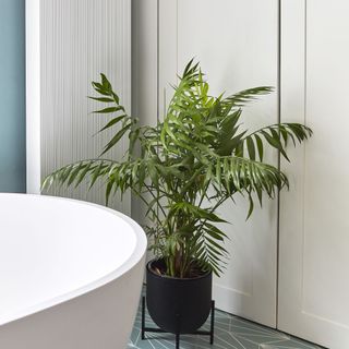 plant next to bathtub