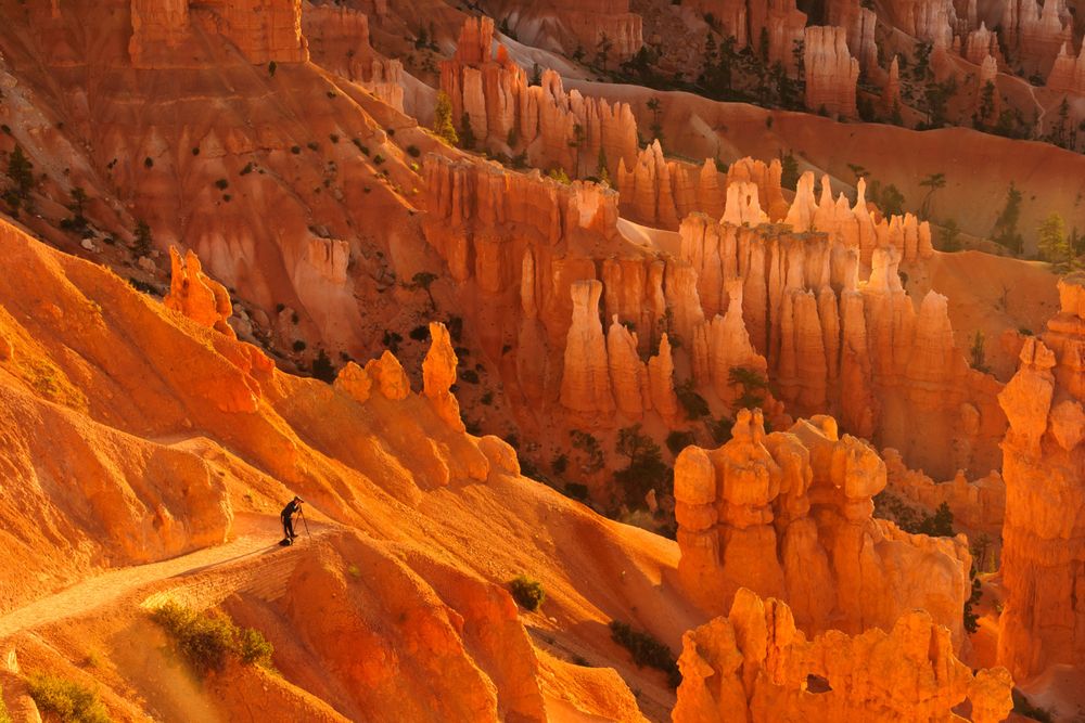 bryce canyon national park, hoodoos, paunsaugunt plateau, claron formation, utah national parks