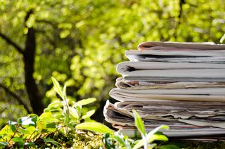 Stack of old newspapers on a forest floor