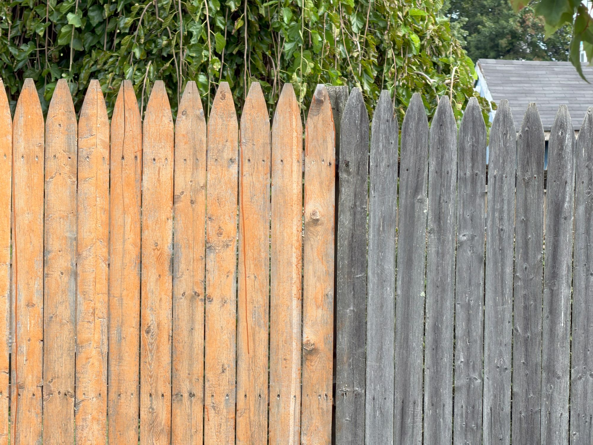 Apple iPhone 17 Pro zoom sample.