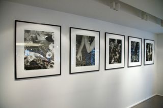 A wall display of 5 framed images haniging on the white wall in an exhibition