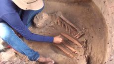 An excavated skeleton found at the archaeological site of S&atilde;o Lu&iacute;s, Brazil along with an archaeologist dressed in blue.