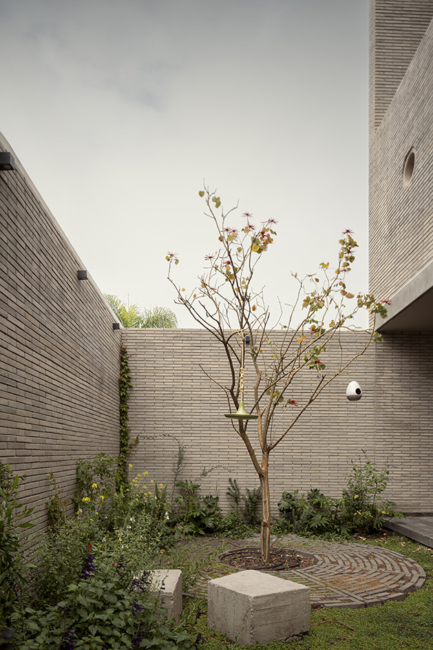 Mexican house designed as a refuge, tall walls, blind from street, plants and minimalist serenity inside