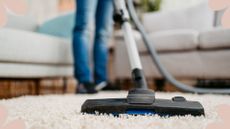 picture of person vacuuming carpet in living room
