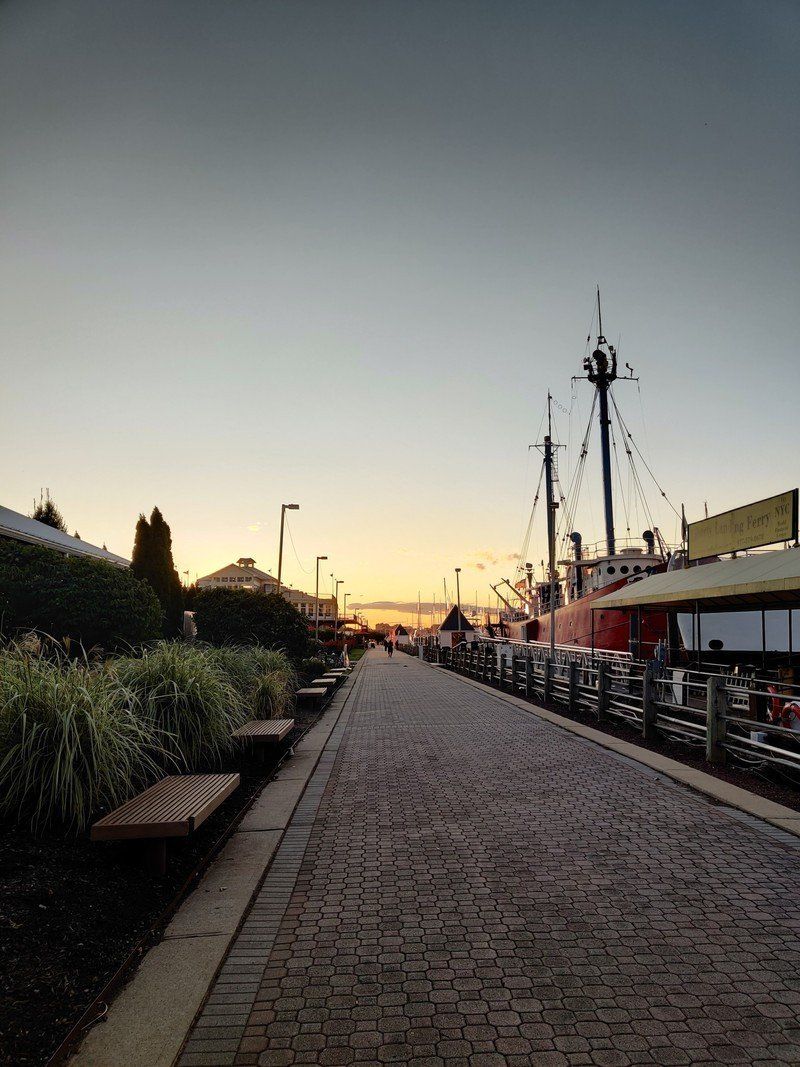 OnePlus 7T camera sample