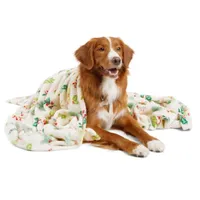 More and Merrier Holly Throw| Was $19.99,  now $10.00 at Petco