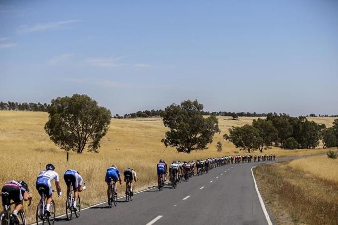 The peloton make their way to Bendigo