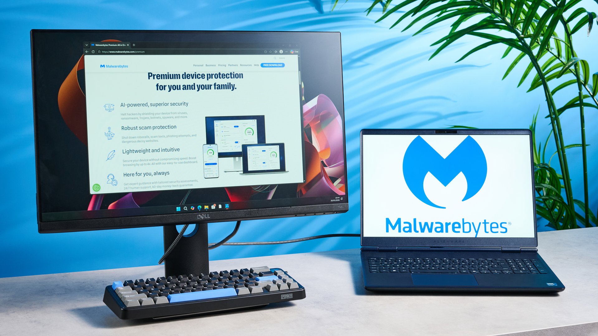 Malwarebytes antivirus software