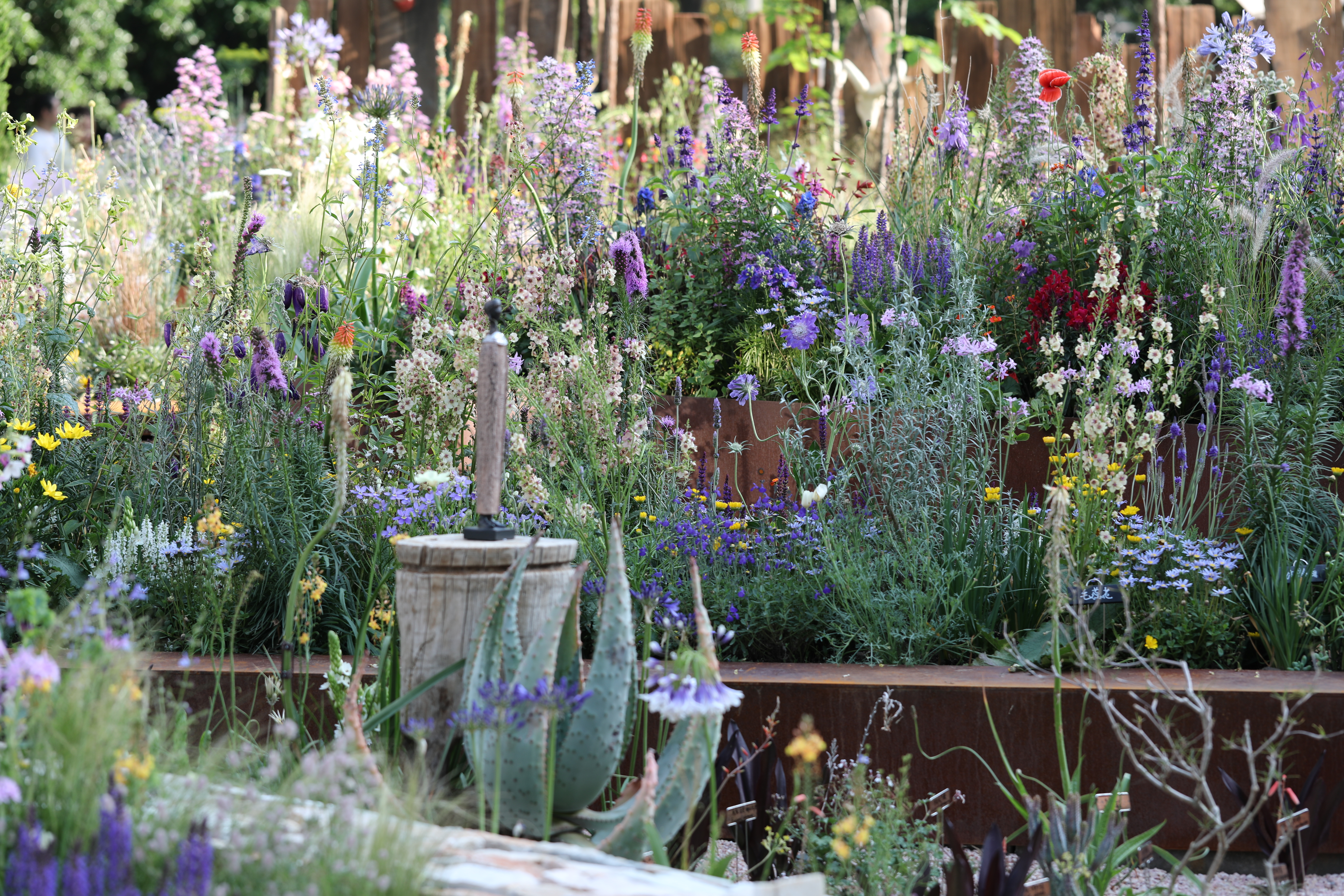 Flowers in a border