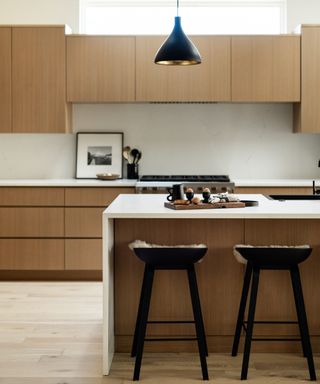 wood kitchen with plain modern doors