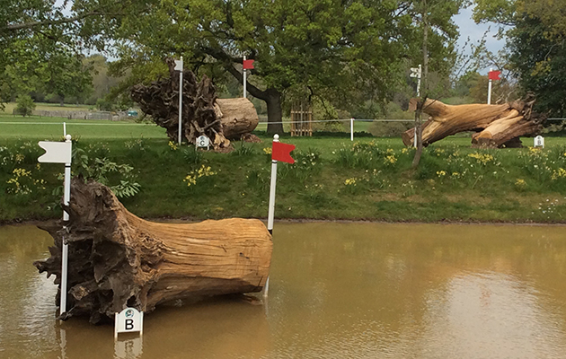 Badminton Fences 2017
