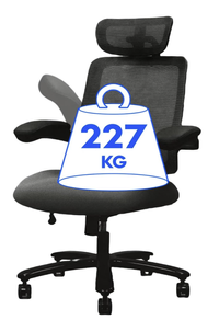 FlexiSpot Big Max Pro office chair