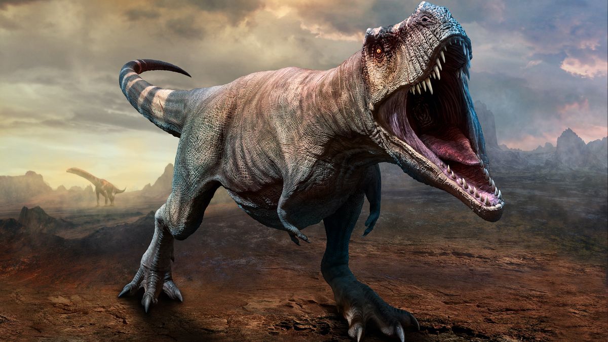 Tyrannosaurus rex may have been three separate species, say scientists