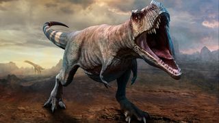 Tyrannosaurus rex might be one species, not three, after all