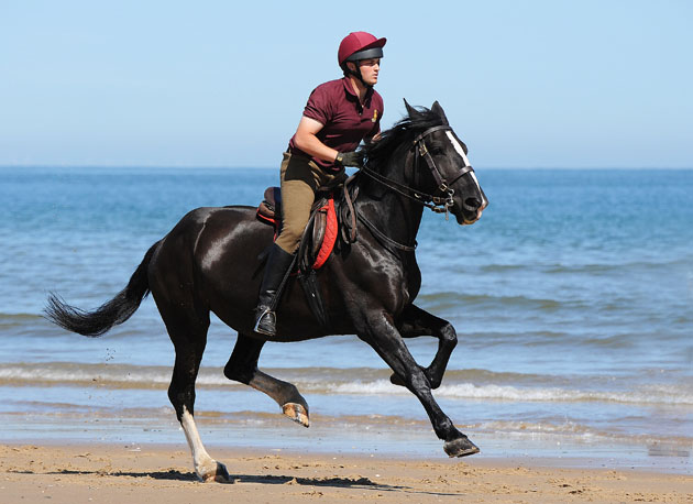 A Trooper from the Lifeguards ride along Holkham Beach