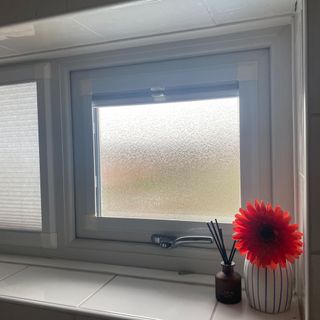 My bathroom window