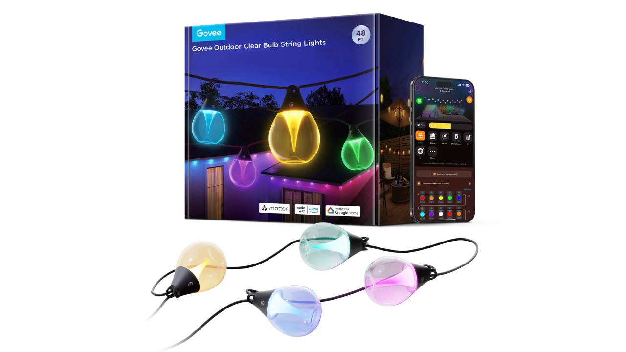 Govee Outdoor Clear Bulb String Lights