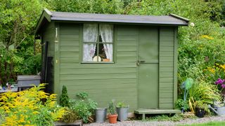 Green painted garden shed with curtains